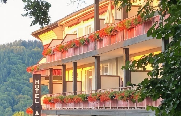 Hotel Anna