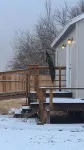 셰이디 레이디 B&B