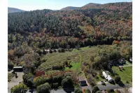 Village Home with 15 acre backyard on the river