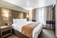 Comfort Suites - 3-Star