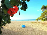 Gorgeous Eagle Beach 4-bedroom Condo with surround balcony and fitness room - 비치