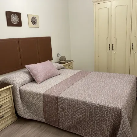 Cozy apartment next to Puerta de San Pedro (Roman Wall)