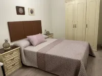 Cozy apartment next to Puerta de San Pedro (Roman Wall) - 2-Star