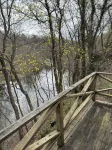 Summer Fun on the River. Swim, Fish, Kayak and Bird Watch at Croton River Gorge. - 4-Star