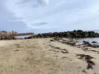 伊斯特哈爾兩卧室公寓俯瞰海港 - 公寓