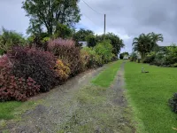 The Hilo Hula Hut - Boutique