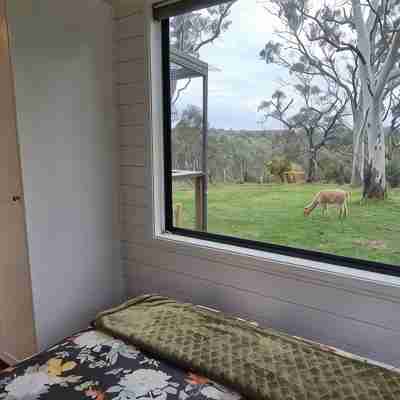 Tiny House/Retreat in Adelaide Hills. Secluded, peaceful, country views. Rooms