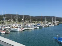Stylish Seaside Guest House, Walking to Beach - 4 stjerner