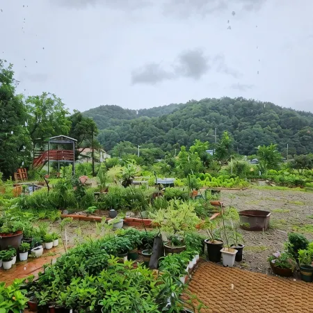 Nonsan Seorabeol Pension