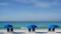 Updated Beachfront Luxury with Amazing Gulf Views! Beach Service Included. - Kitchens