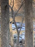 Pappys place at Smoke Hole - Homestays