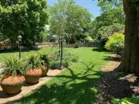 Beautiful Craftsman home near C-Street for you and your pets! - โฮมสเตย์