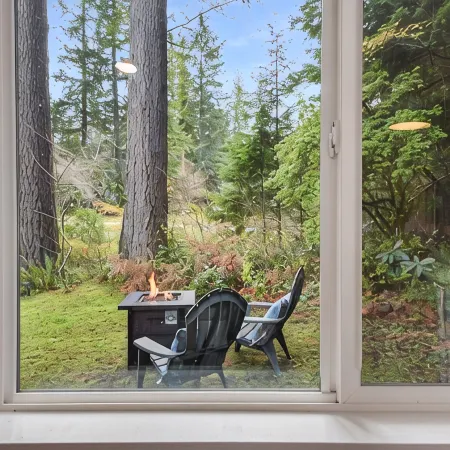 Tiny cabin nestled in the woods