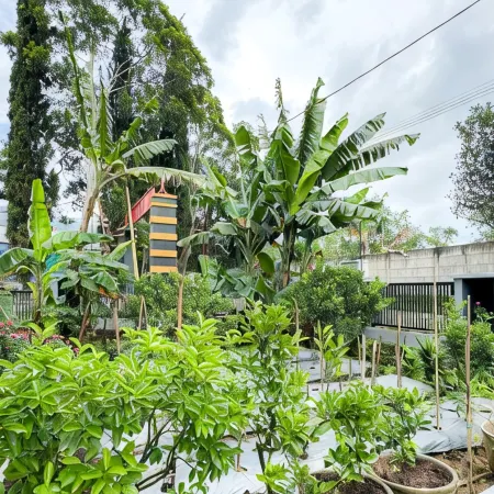 The Lavana Villa Aizel Family
