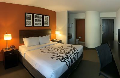 Standard King Room with Roll-in Shower-Accessible/Non-Smoking