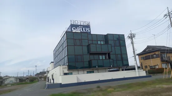 Hotel C-Plus - Adults Only