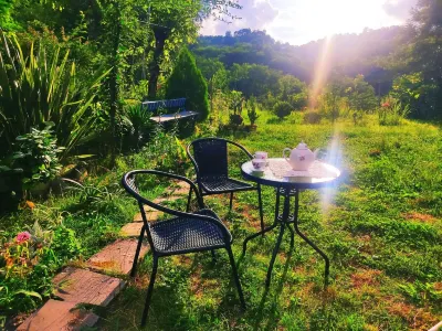 Grandmother Naziko Hotel a 