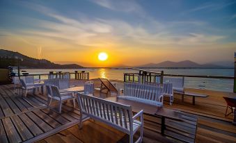 Sao Bien Cam Ranh - Starfish Cam Ranh