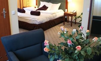 Hotel Wilga by Katowice Airport - Housity
