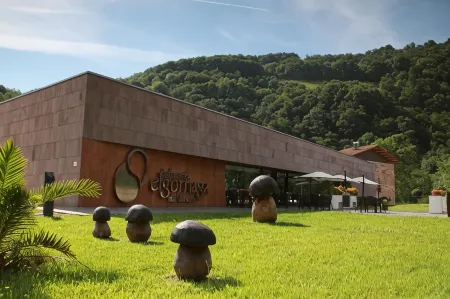 Balneario Elgorriaga Отели в г. Igantzi