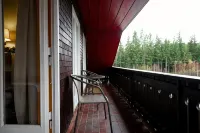 Hotel Zum See, Titisee Hotels in Titisee