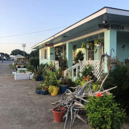 Swell Motel