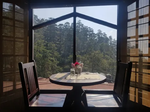 Hotel Silverine Shimla