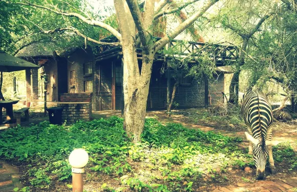 克魯格大堂旅館