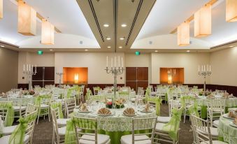 Fiesta Inn Tuxtla Gutierrez