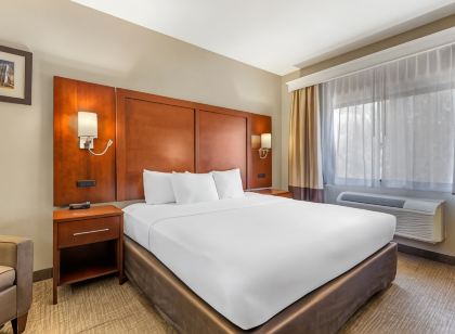 Comfort Inn North - Air Force Academy Area