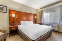 Comfort Inn North - Air Force Academy Area