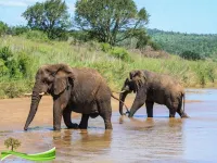 A real African bush experience with the perfect blend of home comforts. Hotels in Emangusi