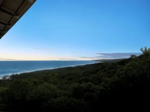 Whale Watch Ocean Beach Resort