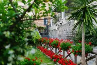 Relais Il Pennino - Bed and Breakfast