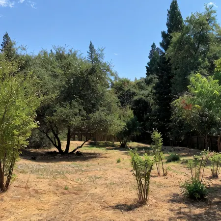 Newly renovated spacious home near Folsom Lake