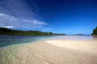 Koro Sun Resort & Rainforest Spa - Beach