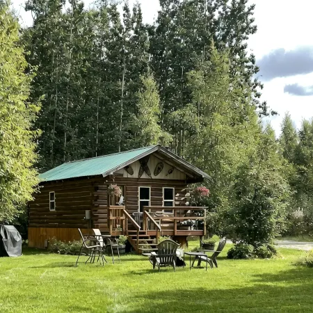 Charming 1-bedroom cabin in welcoming Houston with WiFi
