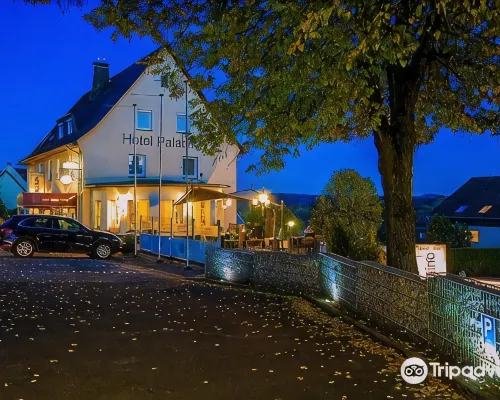 Hotel Palatino Hotels in Sundern