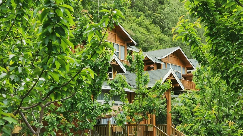 Lixian Muya Starry Sky Wooden Manor
