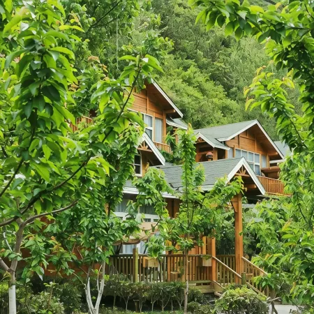 Lixian Muya star cabin Manor