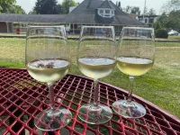 Perfect Rating DT Home! Walk to Beach, Eats and More! 5 Min. to Road America! - Homestays