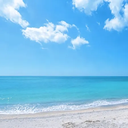 BlessedVeniceOasis, Luxury Beach House - 5 Minutes to Beach, Brand New!
