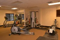 Holiday Inn Express & Suites MOBILE WEST - I-10 by IHG - Gym