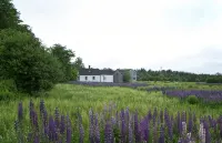 1850s Farm House - Minutes from Acadia, Lamoine Beach, and Lamoine State Park - Homestays