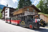 Hotel Färberwirt - Pet friendly
