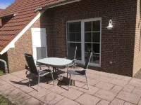 Holiday herring gull in Greetsiel - 3つ星
