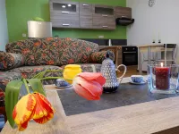 Beautiful apartment at the foot of the castle - 公寓