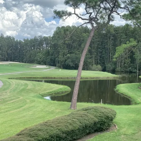 GolfView Condo Near Tampa 1 bdrm 1 bath