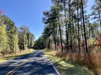 Quiet Super Clean Comfortable 7 Mile  to Downtown Newberry   5 Mile from I 26 - 2-Star