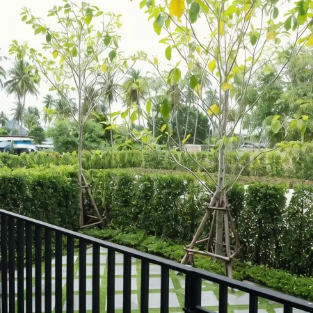 Wellington Hotel